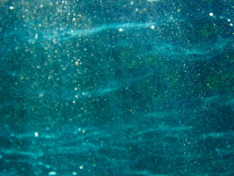 Wasser