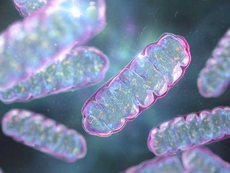 Organisms