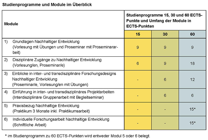 Studienaufbau