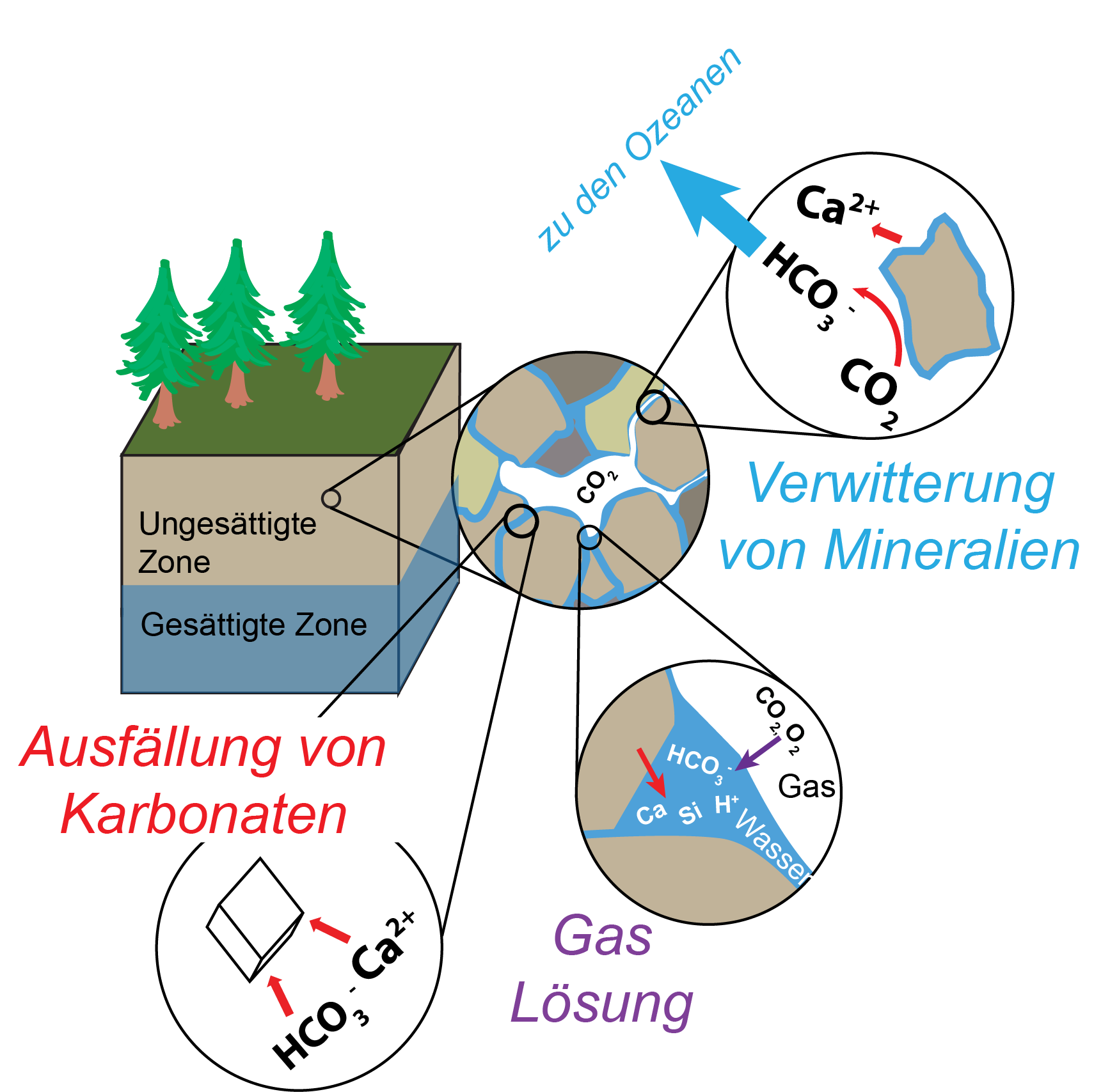 Umweltgeochemie