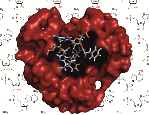 Master Molecular Life Sciences