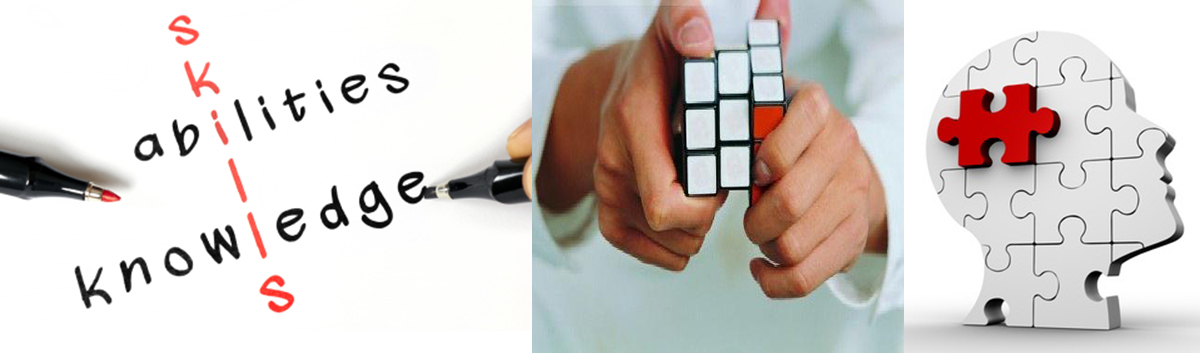 Skills, Rubic`s Cube, Puzzle
