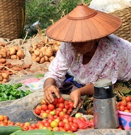 Person inspecting fruits