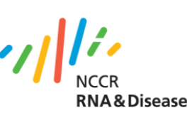 Logo der NCCR RNA & Disease