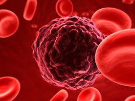 Sinnbild eines Krankheitserregers (dargestellt als Klumpen) umgeben von Blutkörperchen